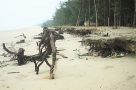 Sóng ‘ngoạm’ gần 2 cây số bờ biển Quảng Ngãi